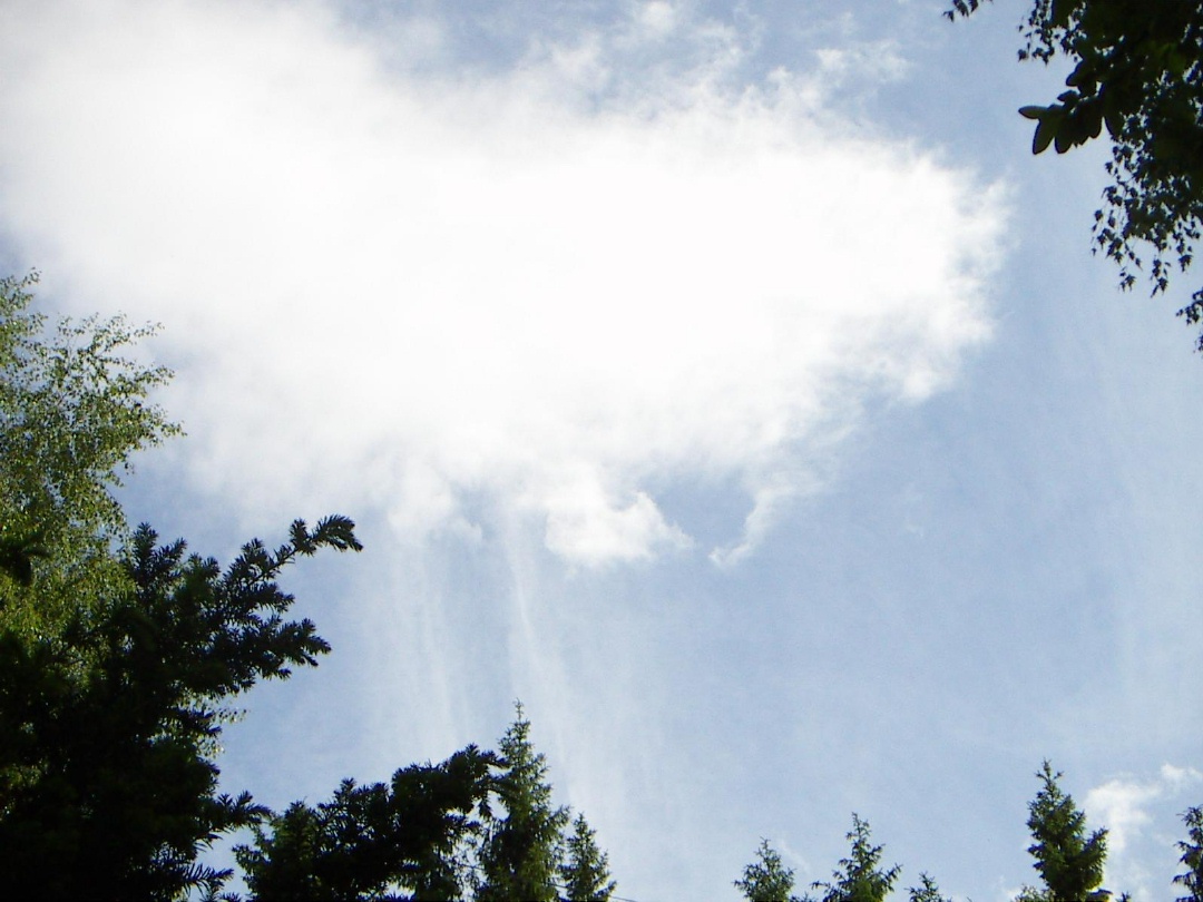 chemtrails0034