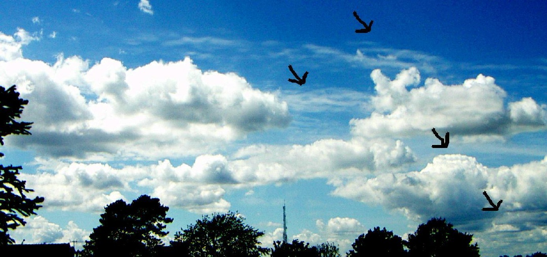 chemtrails0068