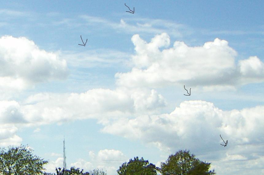 chemtrails0069