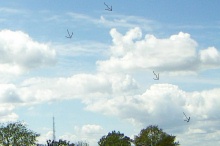 chemtrails0069