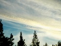 northsweden0008
