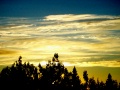 northsweden0014