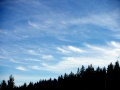 northsweden0021