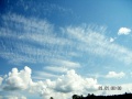 southsweden0059