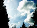 southsweden0060