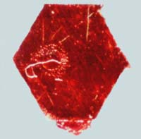holographic crystal with recombinat corners