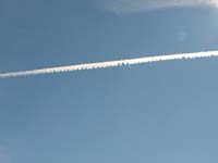 IMG_2353