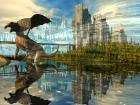 drachen4