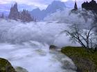 nebel