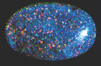 opal10_klein
