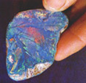 opal11klein