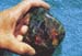 opal51_klein