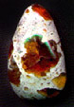 eld22