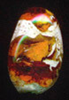 eopal5