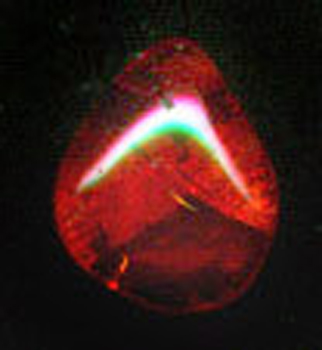 eopal6