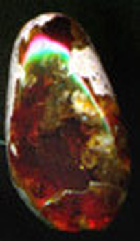 eopal7
