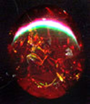 eopal8