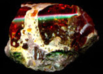 ro1