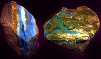 andenopal1